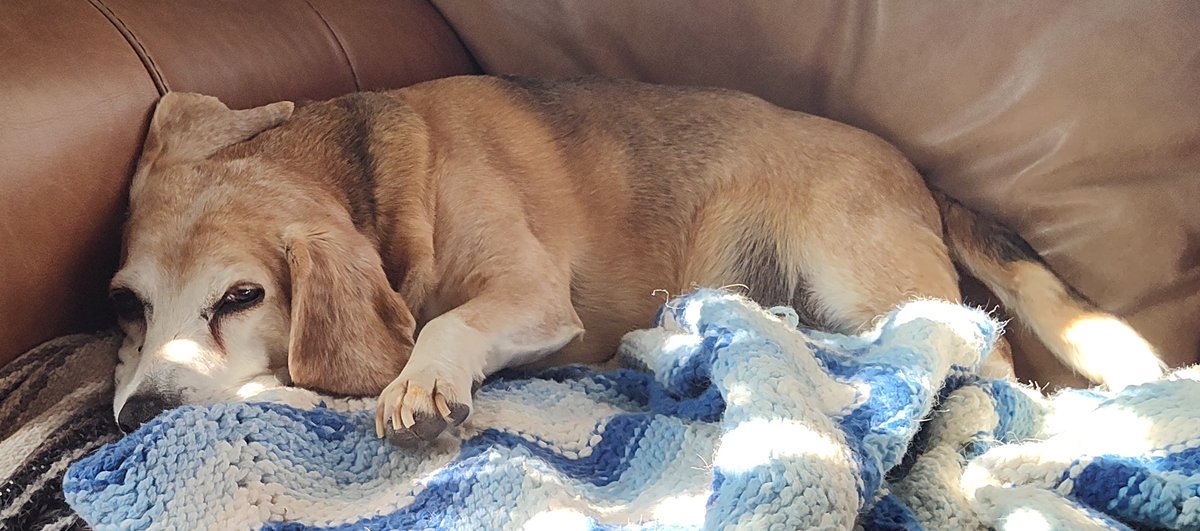 Ferguson y Jasper tweet media