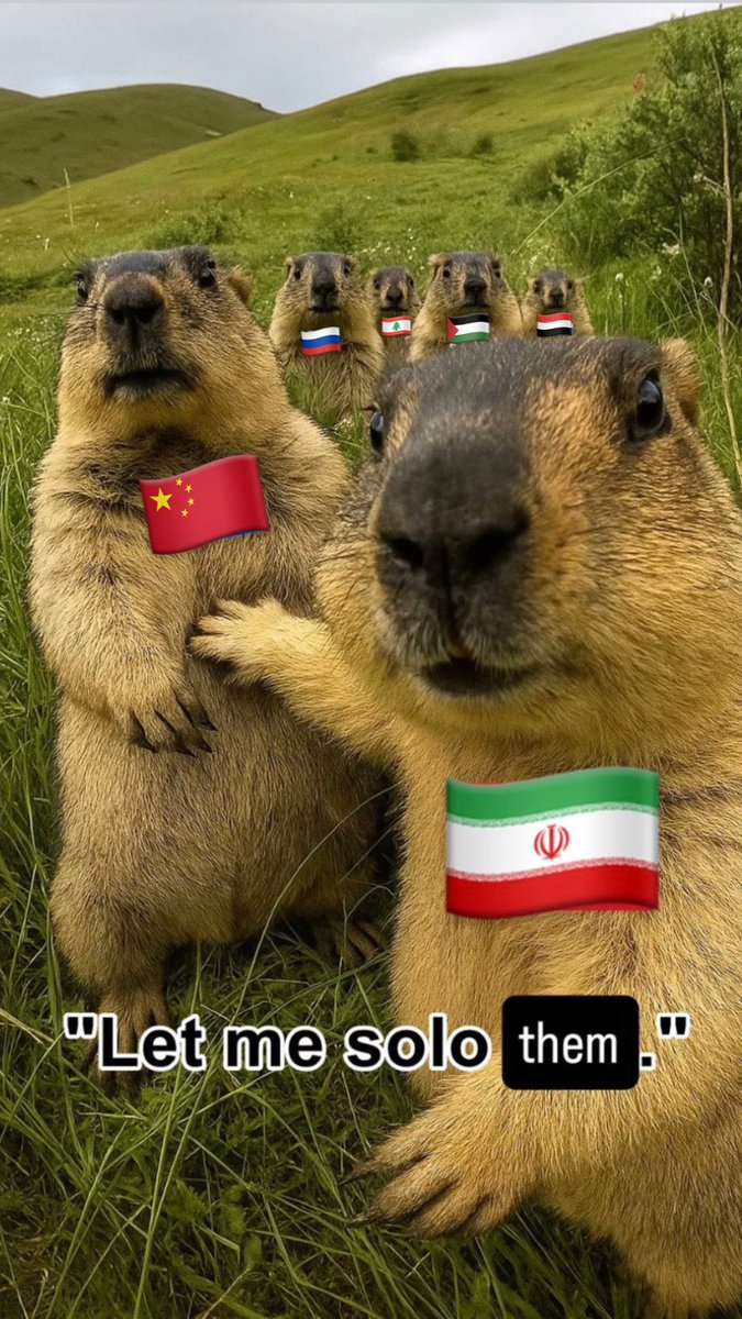 Giovanni G. tweet media