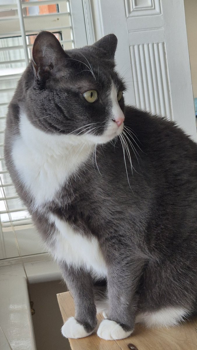 Angus Grady tweet media