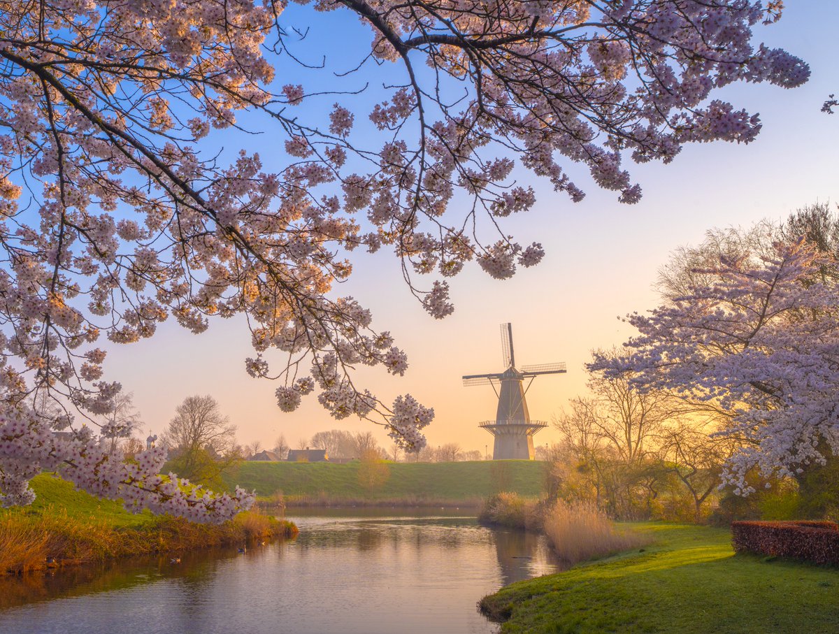 Albert Dros tweet media