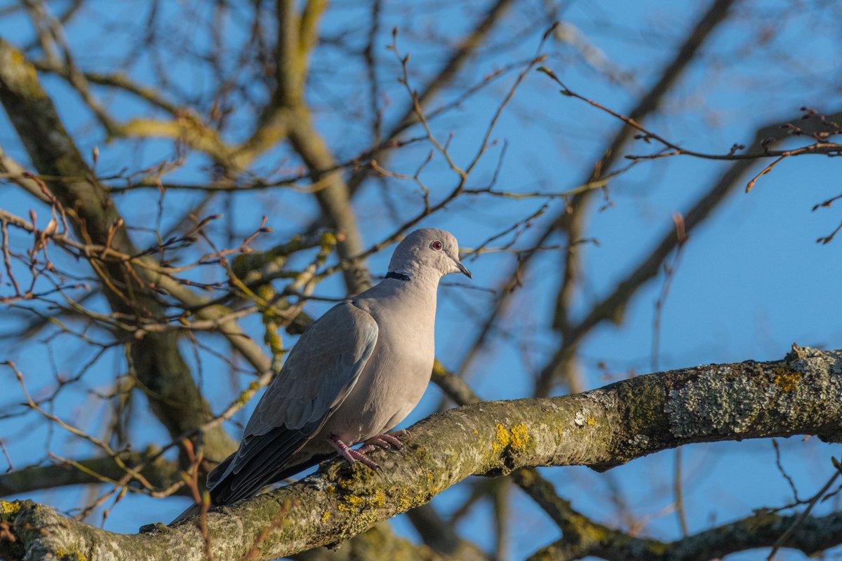 Simon Folkard tweet media