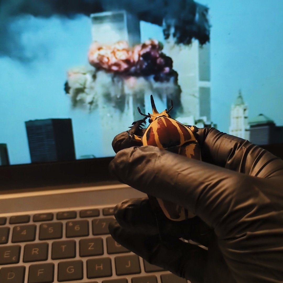 rio 🪲 bug oomf tweet media