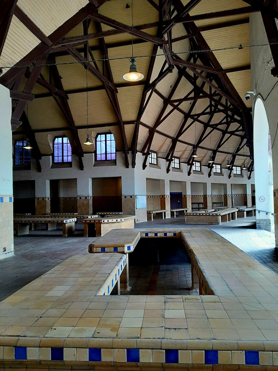 Lionel C. tweet media