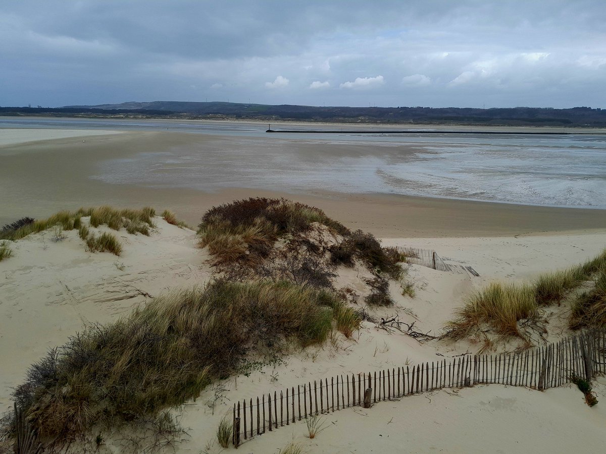 Lionel C. tweet media