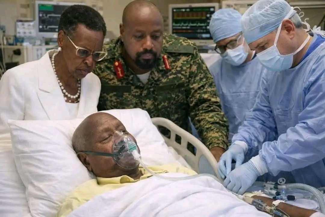 Nyaburi 🐝 tweet media