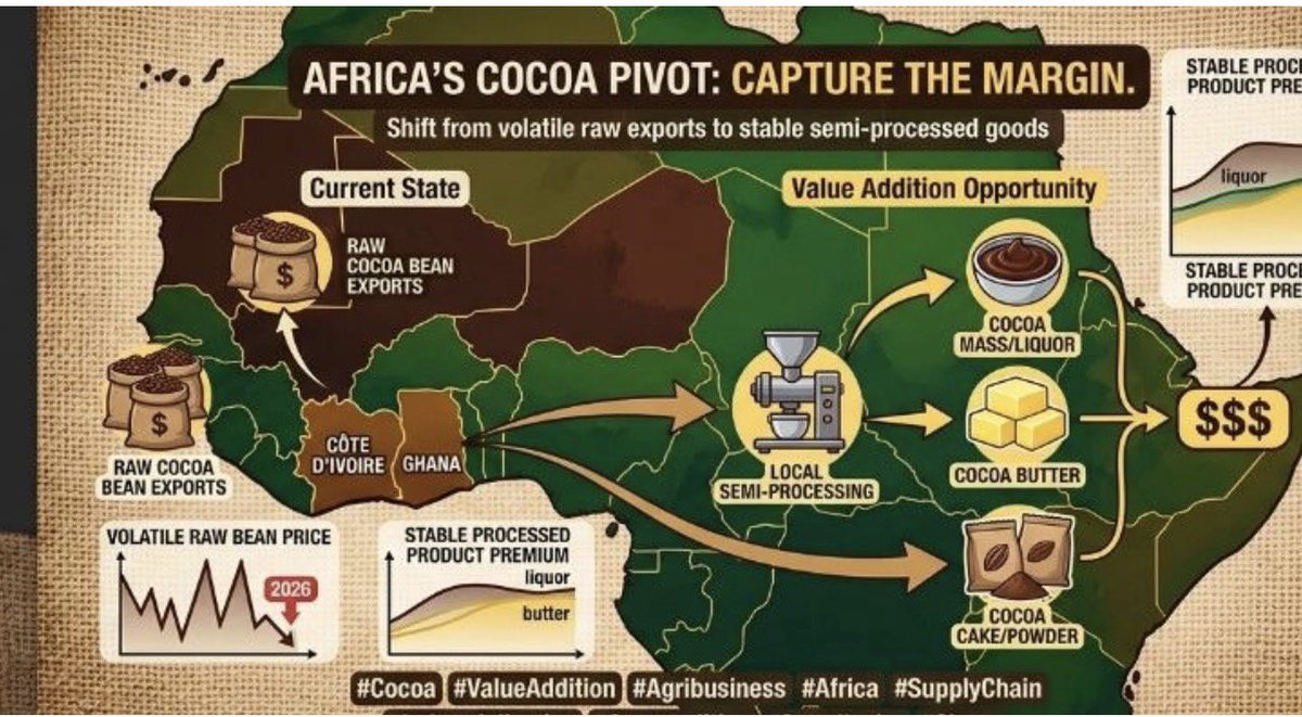 GKatabazi's tweet photo. Cocoa.

Why Africa’s Cocoa Strategy Must Shift in 2026

From Raw Beans to Value Addition
The recent crash in global cocoa bean prices dropping over 45% from the 2024/25 peaks is a wake-up call. 

While the market corrects, the price of cocoa mass and butter remains resilient.
 The lesson? Exporting raw beans is a high-risk gamble on volatility. The real margin isn't in the farmgate price; it’s in the processing hey @JBNyamate are you following the peanut butter storyline 

The Case for Semi-Processed Exports:
We don’t need to wait for full-scale chocolate manufacturing to win moving into semi-processed goods (cocoa liquor, butter, and cake) is the immediate sweet spot for Africa:

Improved Margins: Processed products command a higher, more stable premium than raw beans, even when the market dips.

Reduced Post-Harvest Loss: Local processing cuts down on spoilage and storage issues associated with raw bean exports.

Market Acceptance: Semi-processed goods are easier to standardize for global supply chains compared to finished confectionery, making them an easier "entry point" for African industrialization.

Job Creation: Every processing plant built in West Africa is an engine for local employment and technical skill development.

With bean prices hovering around $3,300/ton, now is the time to invest in mid-stream infrastructure. 

We must stop being price-takers in a volatile market and start being value-creators in a stable one.
Africa produces 70% of the world's cocoa. It’s time our balance sheets reflected that dominance @NileChocolates 
#ICCO #Cocoa #ValueAddition #Agribusiness #AfricaRising #SupplyChain #Sustainability #Industrialization #Afreximbank #jobcreation #Cocoamass #Cocoabutter

@Muganzisecure @UGCommonwealth @emmiebert @odongmanuel @JackieAkampwera @USTradeRep Responsibly Sourced 👇🏾🙌🏾