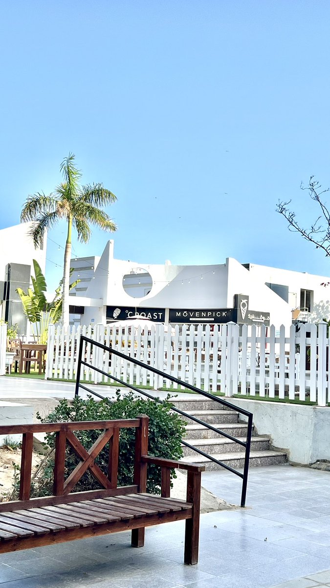 Doaa Albarakti🐬 tweet media