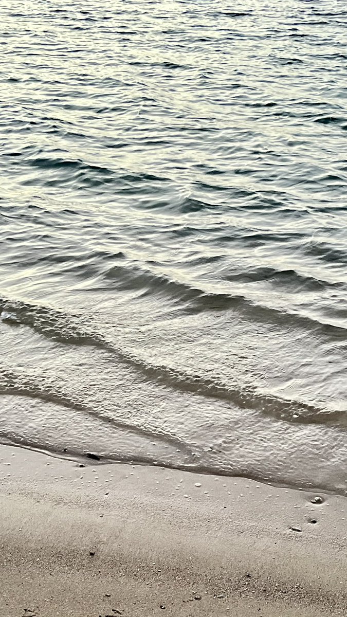 Doaa Albarakti🐬 tweet media