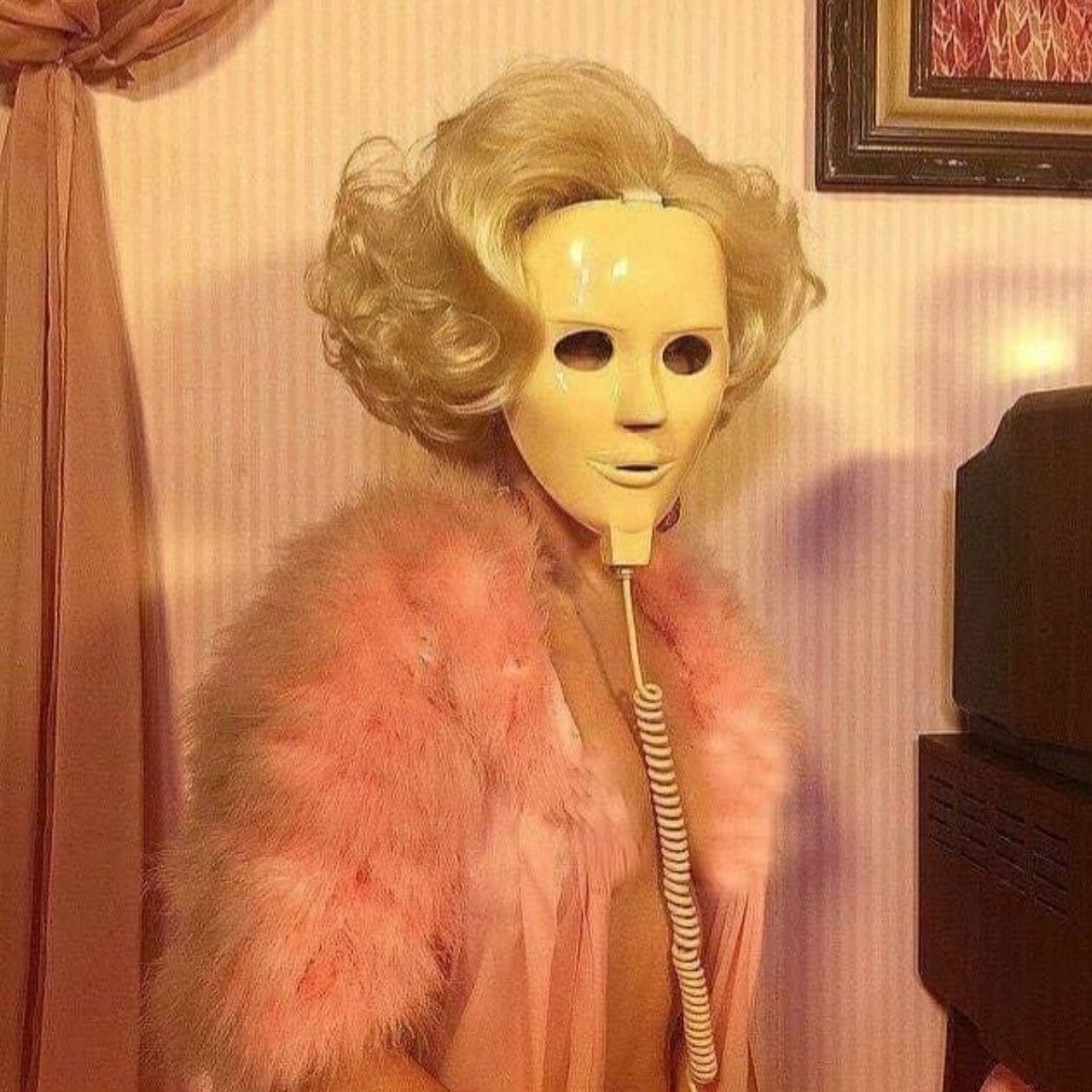 allison harvard burke tweet media