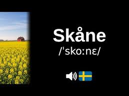 nocontextskane's tweet photo. https://t.co/z1iCUdUksv