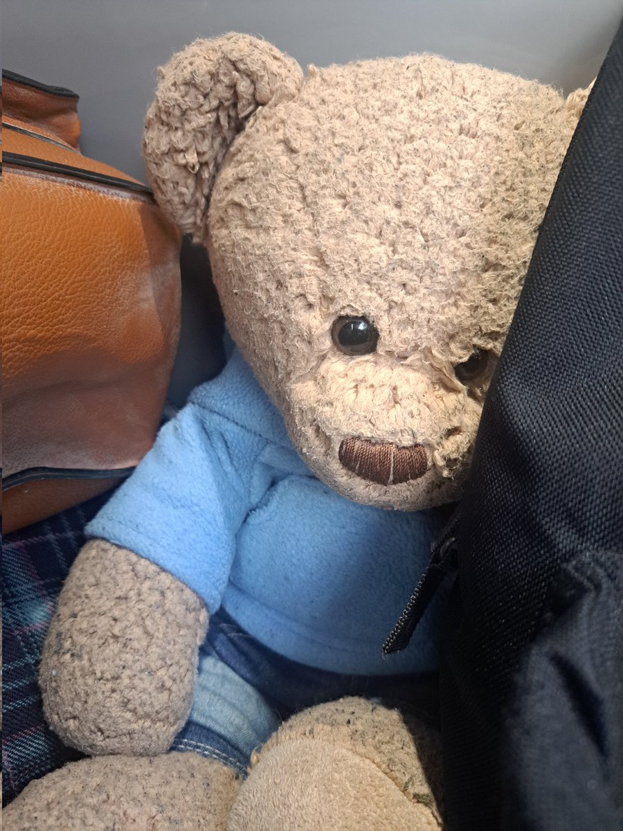 Benjamin Bus tweet media