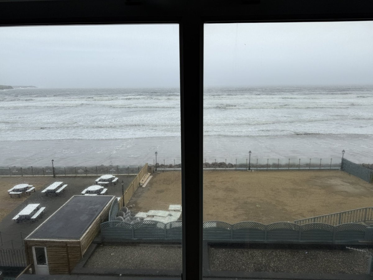 Anja Mueller tweet media