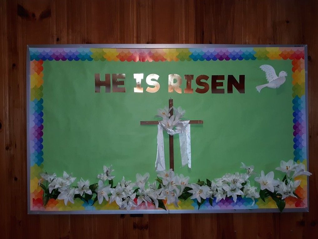 MythoAmerica 🌲 tweet media