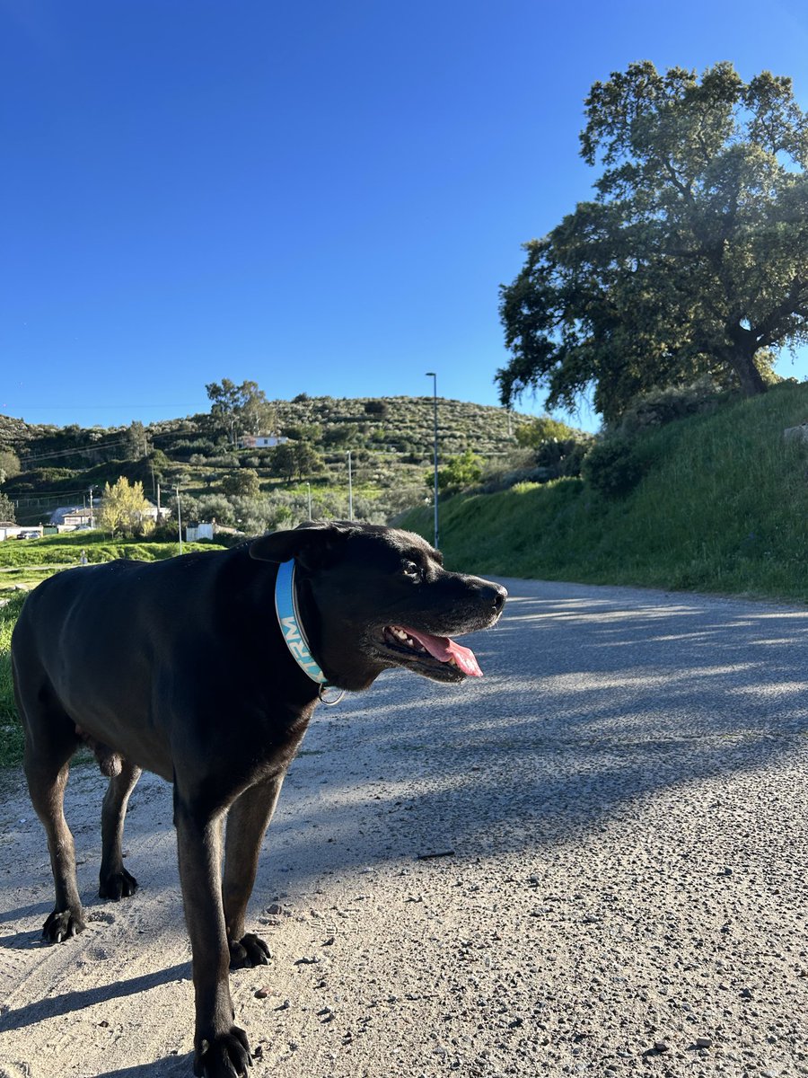 Elena 🌙 tweet media