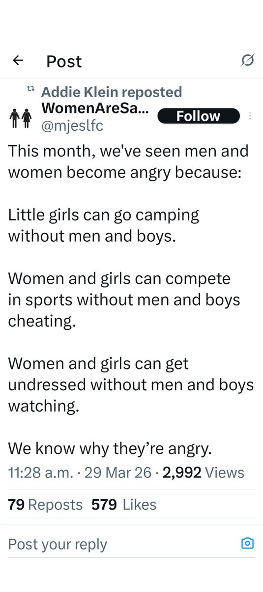 🌹dimac tweet media