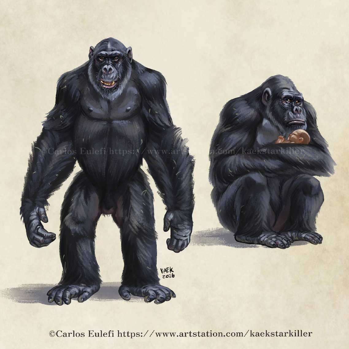Kaek_art's tweet image. Mangani apes from the Tarzan novels of Edgar Rice Burroughs, a great ape with their own language and culture, not a chimp, not a gorilla, Clip Studio Paint🖌️ #EdgarRiceBurroughs #tarzan #mangani