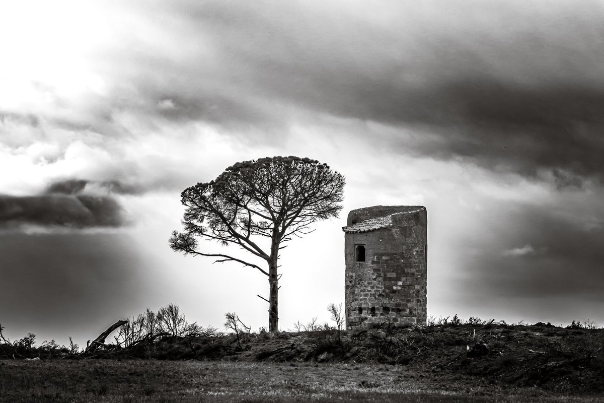 jmg1134's tweet image. Duo entre un pigeonnier et son pin, sous un ciel de tempête 

#occitanie #aude #blackandwhite #landscape