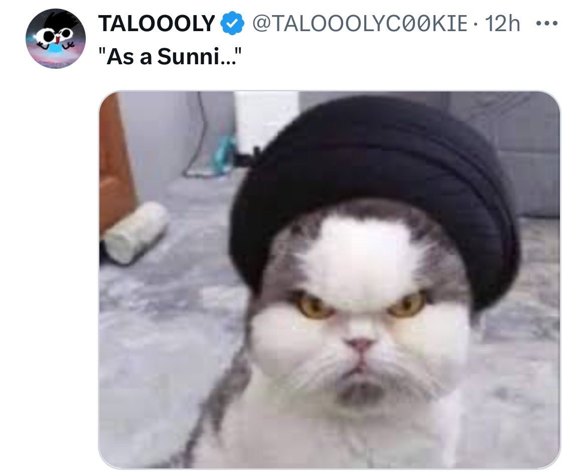 StiFfm 🐔🍉 tweet media