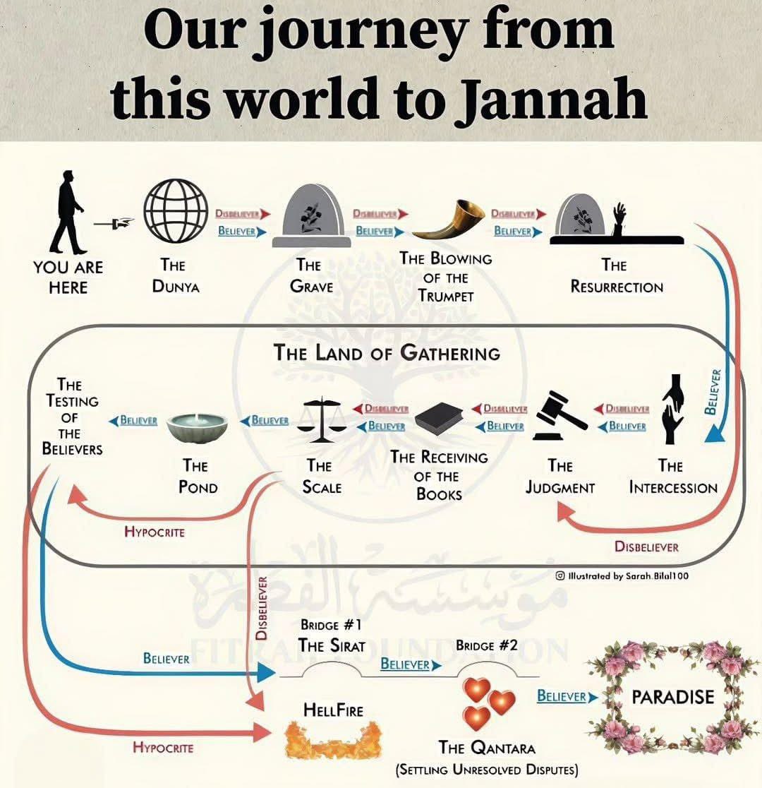 Em21brave's tweet photo. This world is just the beginning. the real journey leads to Jannah 
Every step we take today shapes our path in the Hereafter. https://t.co/oW1AxZzDkb
