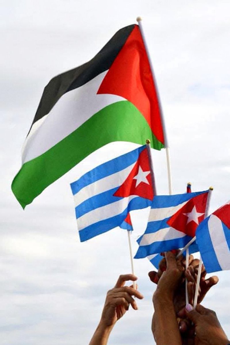EmpresaCepil's tweet photo. Día d la Tierra Palestina,ratificamos la histórica solidaridad d #Cuba con la justa causa d un pueblo q ha sido despojado d sus tierras d forma ilegal,violenta y sostenida x el gobierno d Israel.Cese la filosofía del despojo y cesará la filosofía de la guerra
#LatirAvileño
#Cepil https://t.co/347b4OjIvt