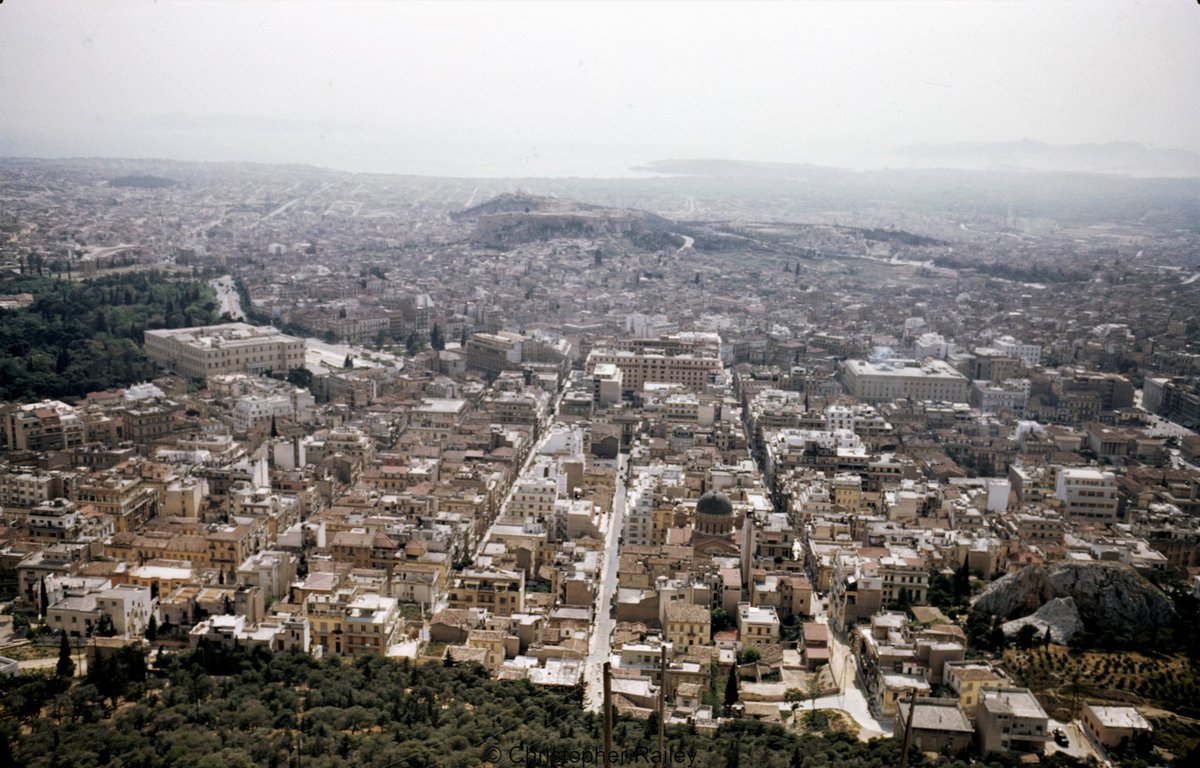 Alex Sakalis tweet media