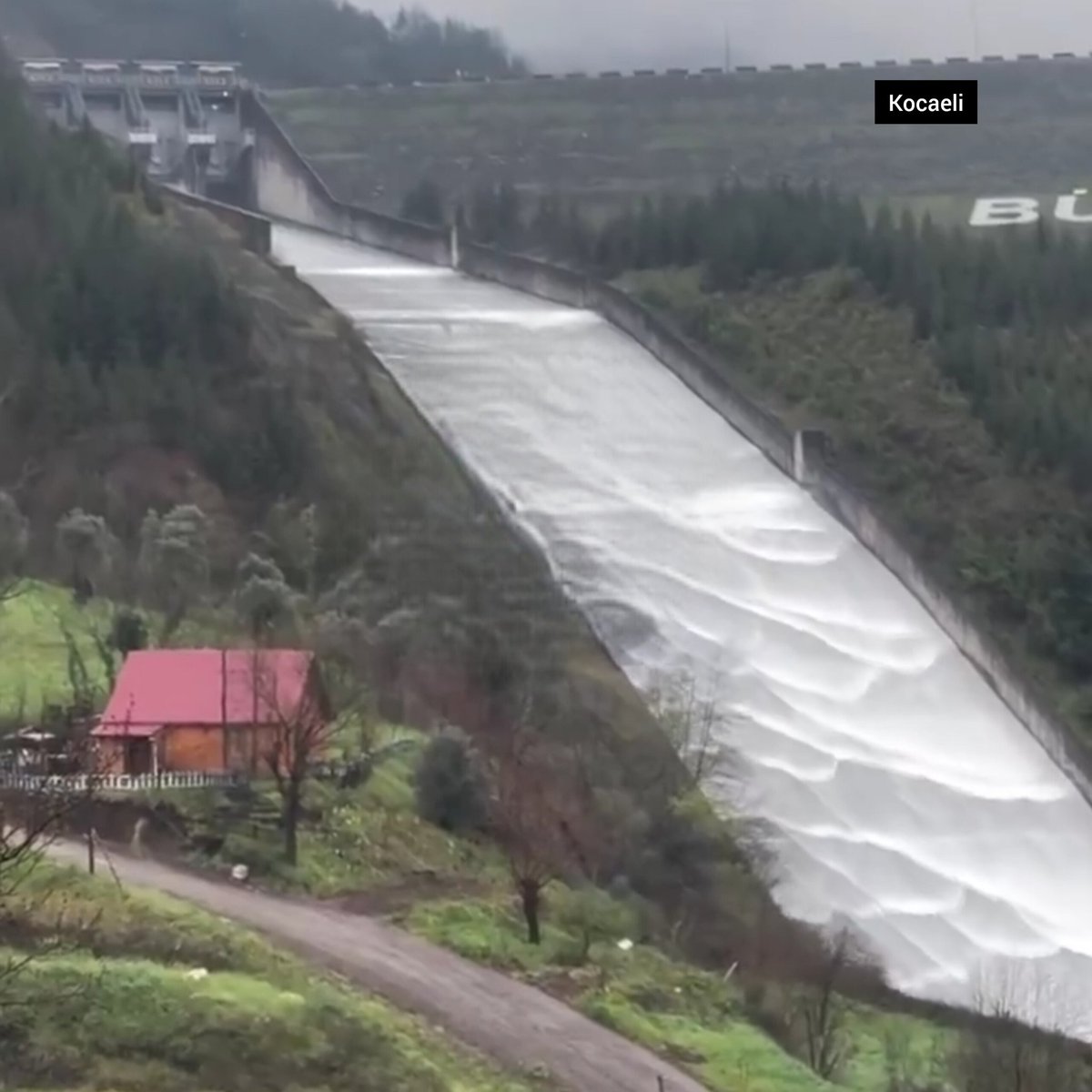 Hava Forum tweet media