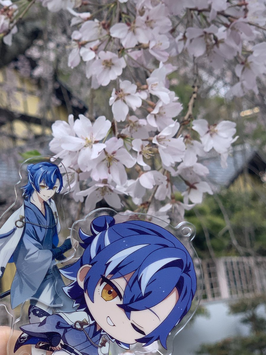 野生の奈々生🐧▷◀ tweet media