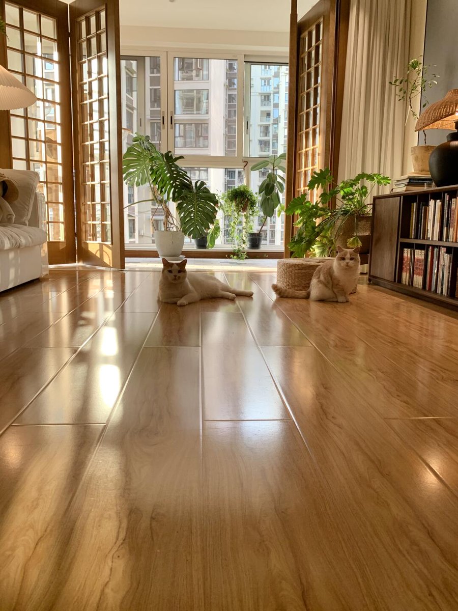 Samson Phoenix tweet media