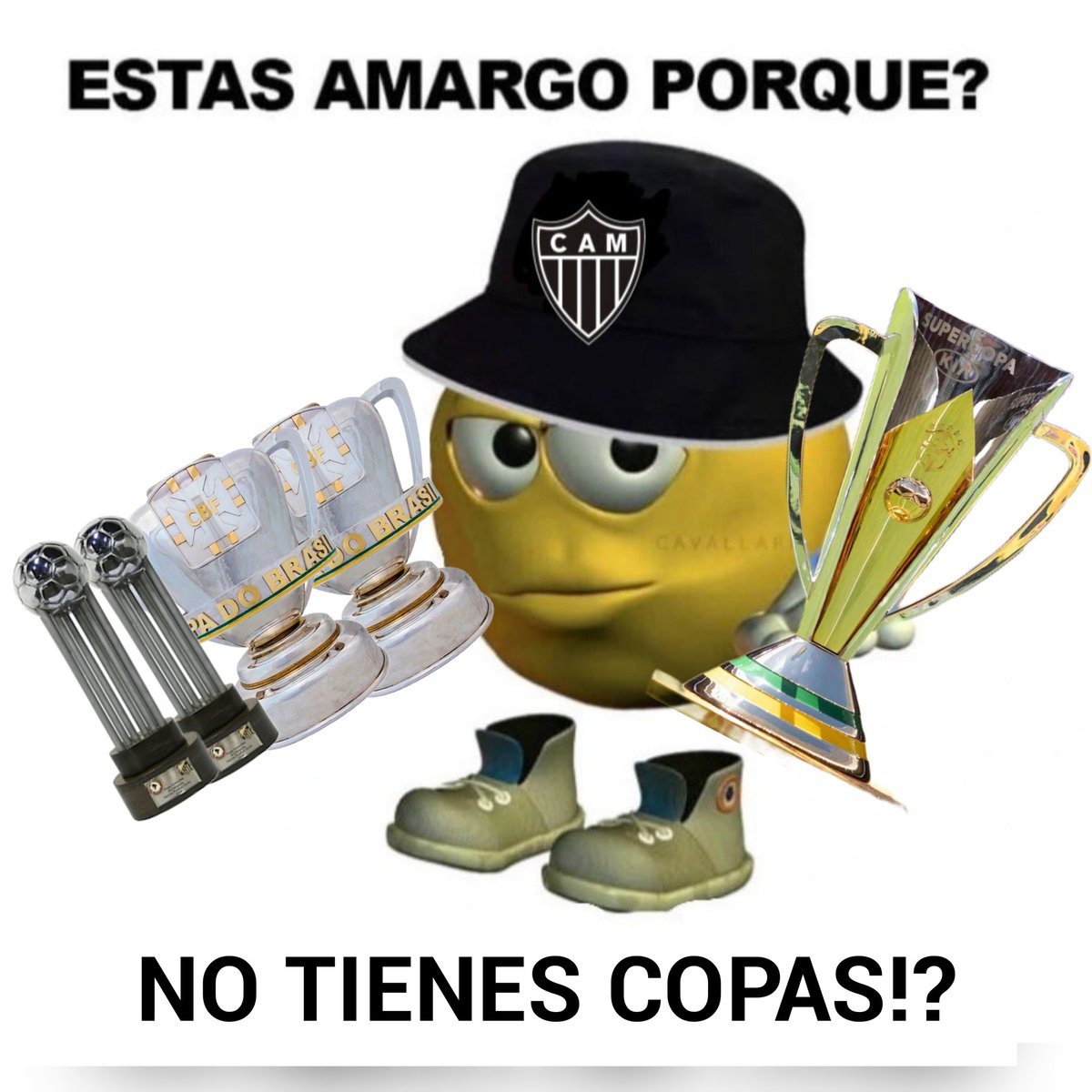 Vinícius Lucas🐓 tweet media