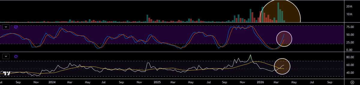 TheApeOfGoldStreet tweet media