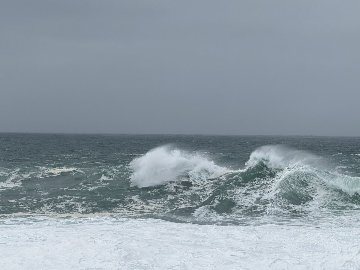 Anja Mueller tweet media