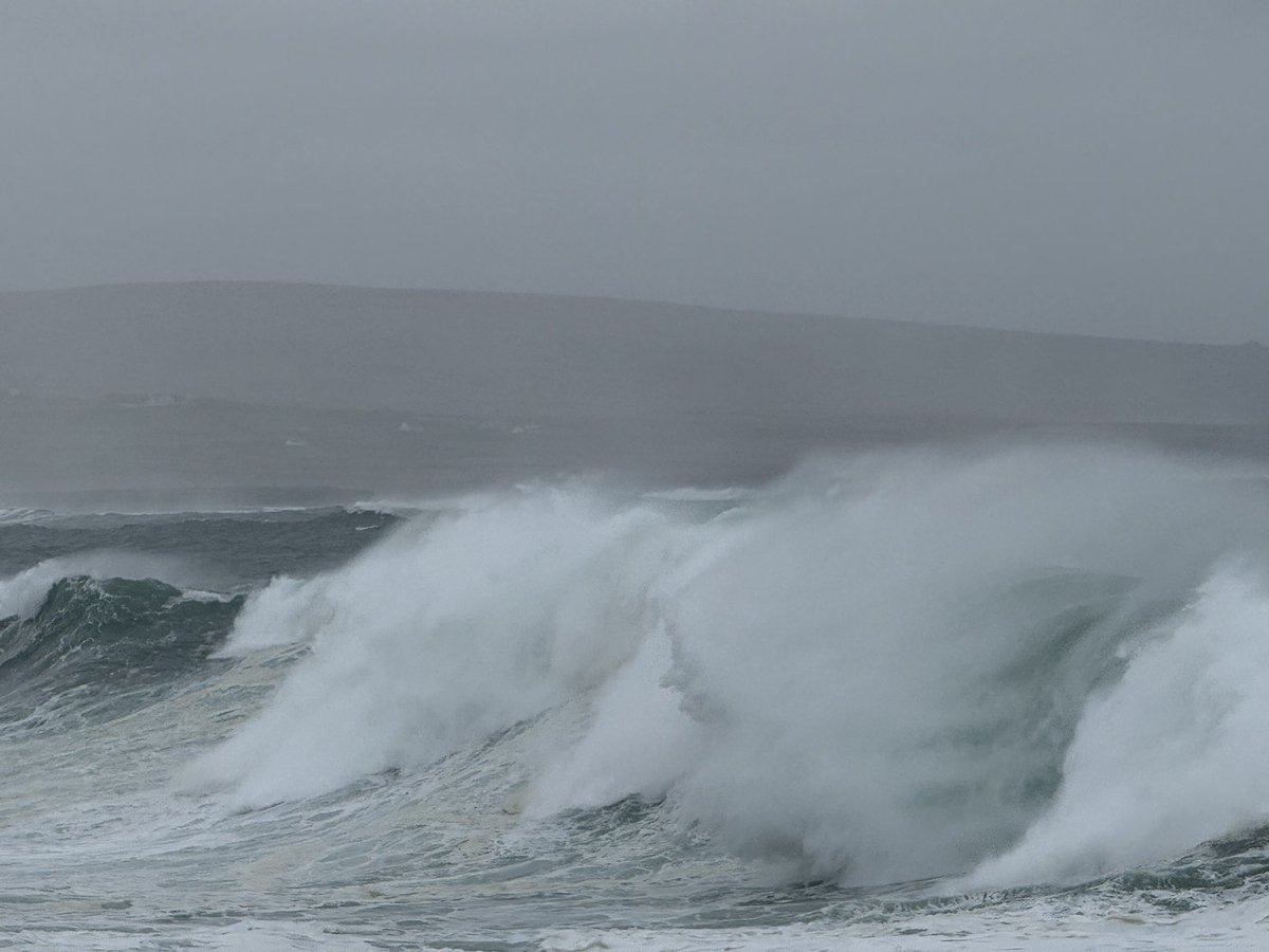 Anja Mueller tweet media