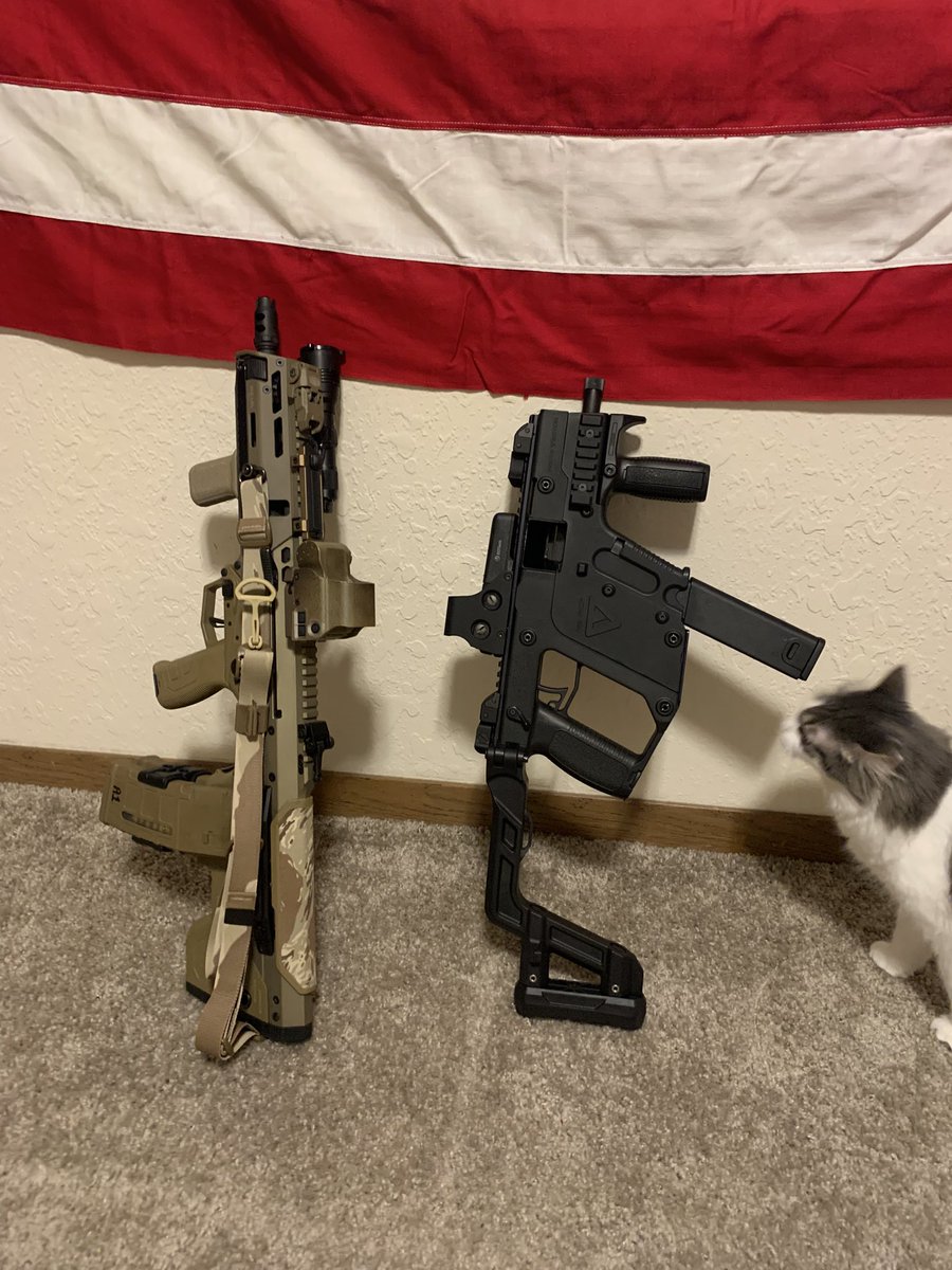 m9🇺🇸🦅 tweet media