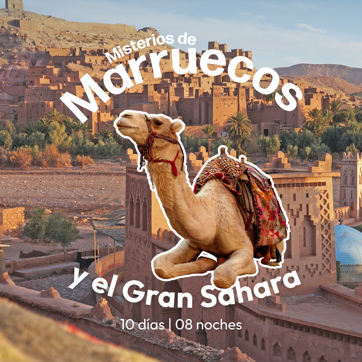 Mega Travel 🇲🇽 tweet media