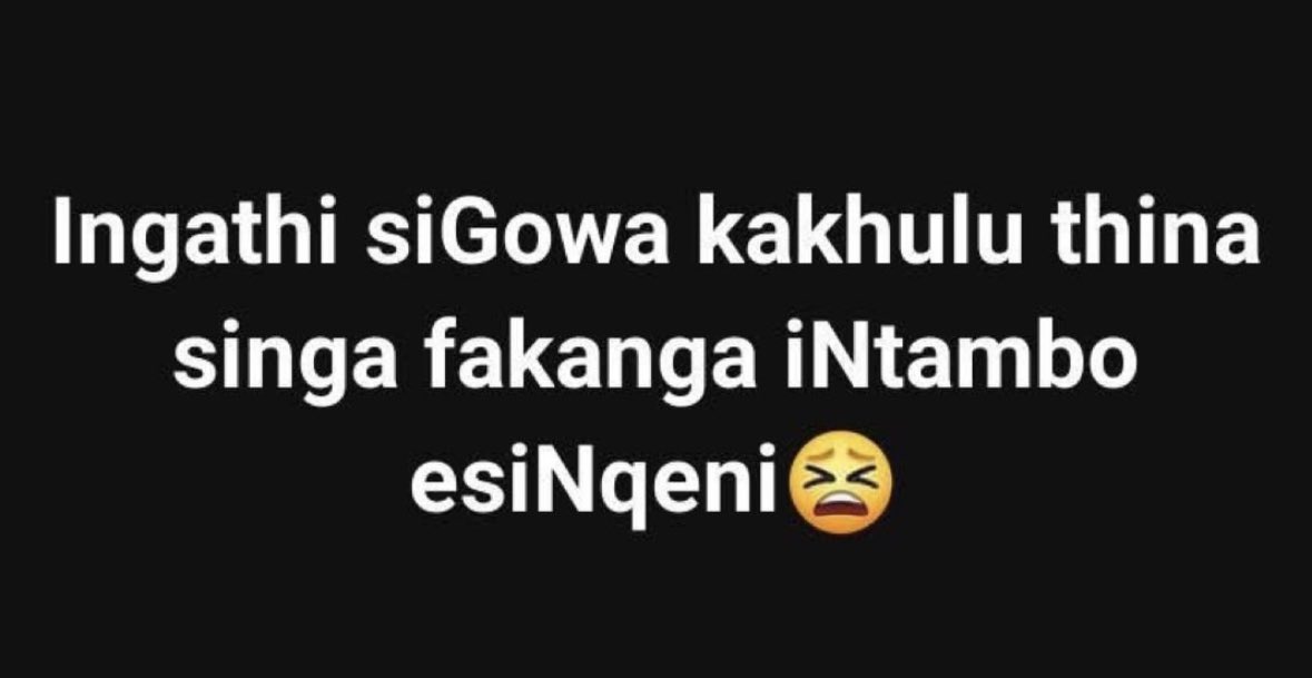 TiggazTheOne 🫧 tweet media