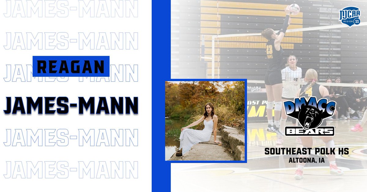 DMACC Volleyball tweet media