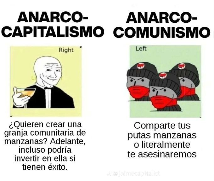 Made in Ancapia tweet media