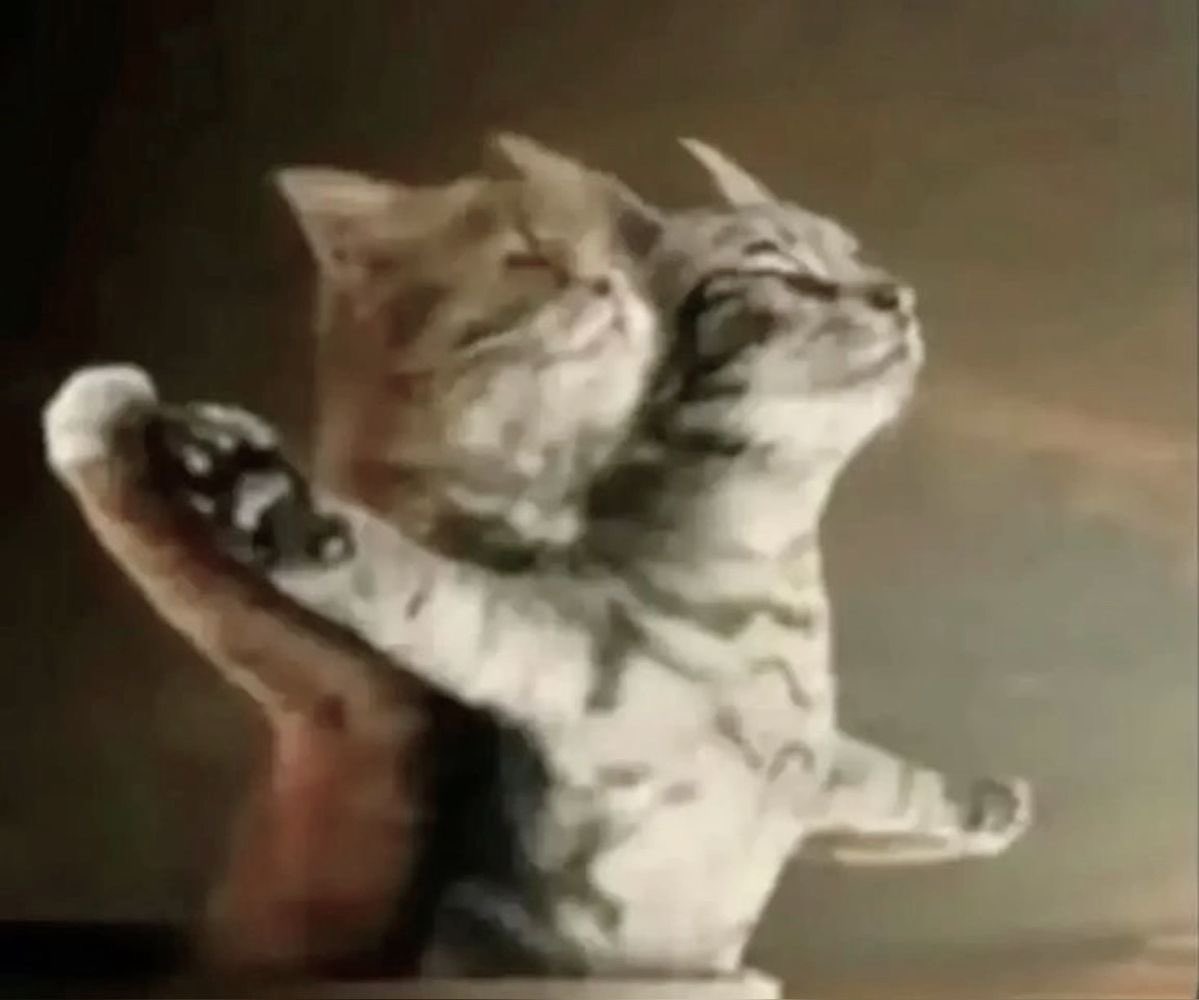 tofii | Enhypen is 7 tweet media