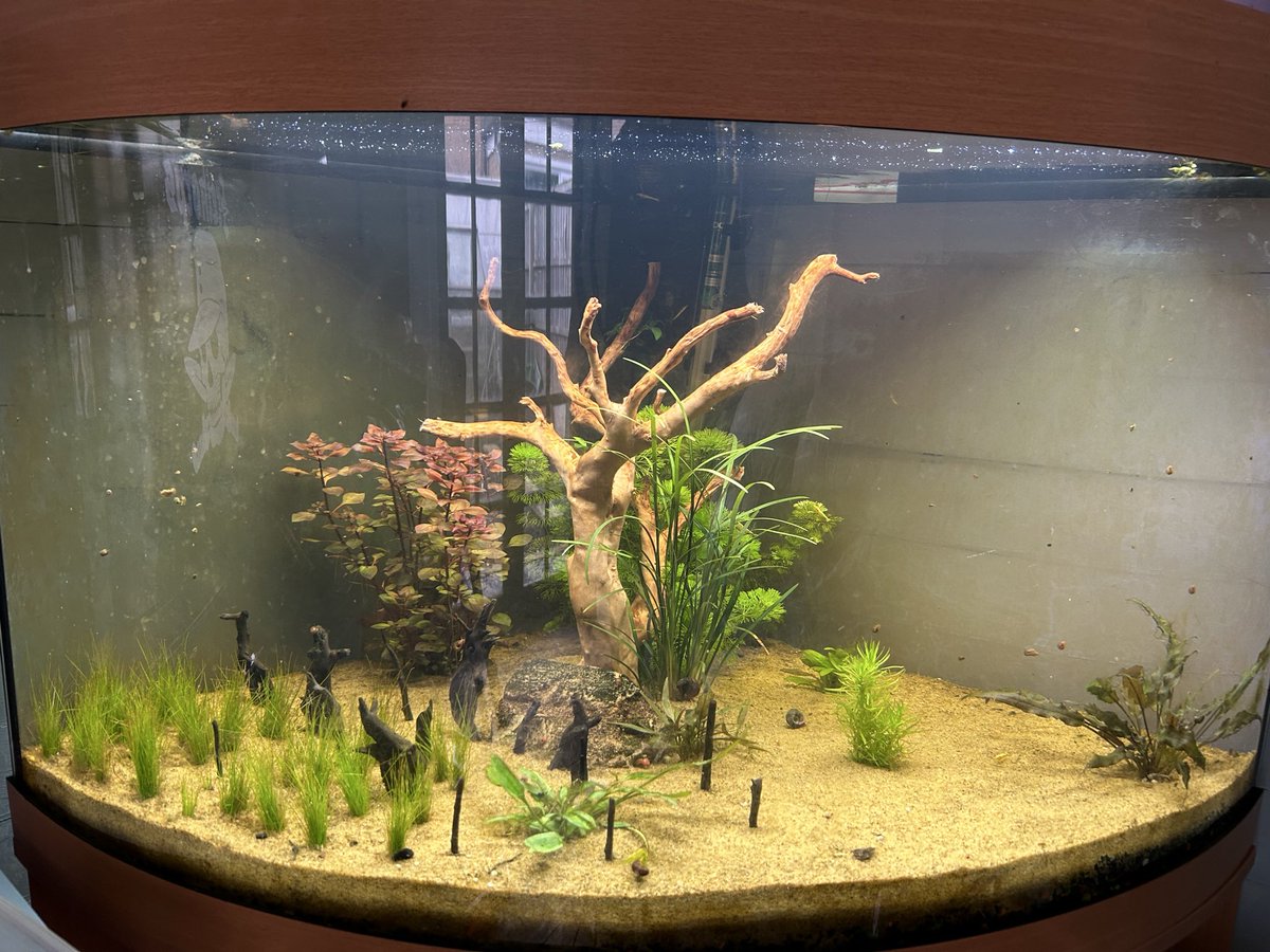 Save卍England tweet media