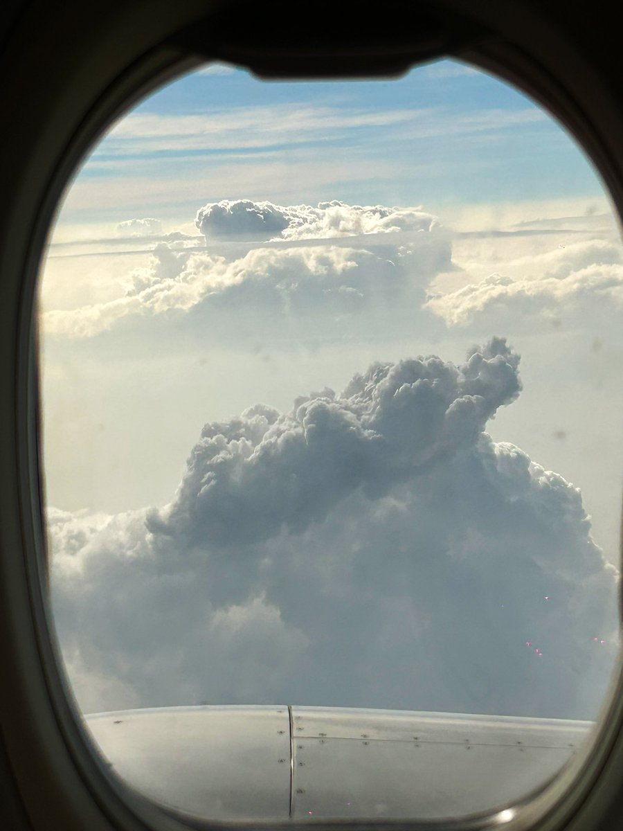 Gowri🌸 tweet media