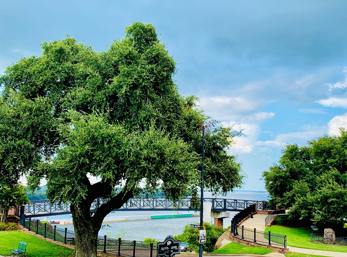 Visit Natchez tweet media