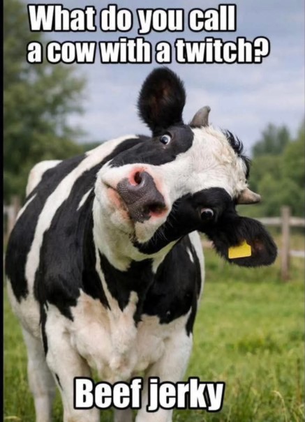 Thomas Fitz Gerald tweet media