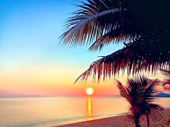 ParshadGanesh's tweet image. In the quiet of a shared truth, the Spirit finds its original home;
In the heat of a bitter word, the heart is left alone. #poetry #spirit #heart