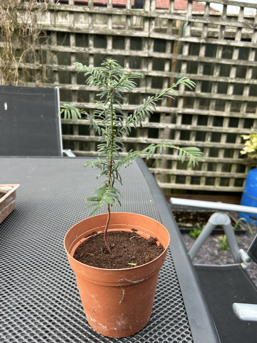 Save卍England tweet media