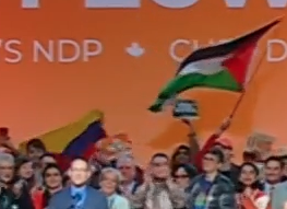 Edward Parker 🇨🇦 tweet media