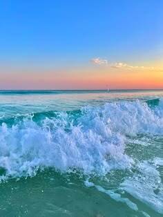 The Beach Life tweet media