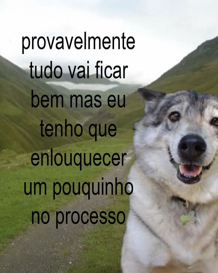 Renan Callegari tweet media