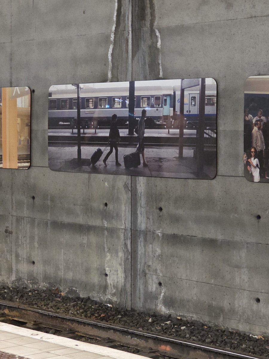 Vincent D. tweet media