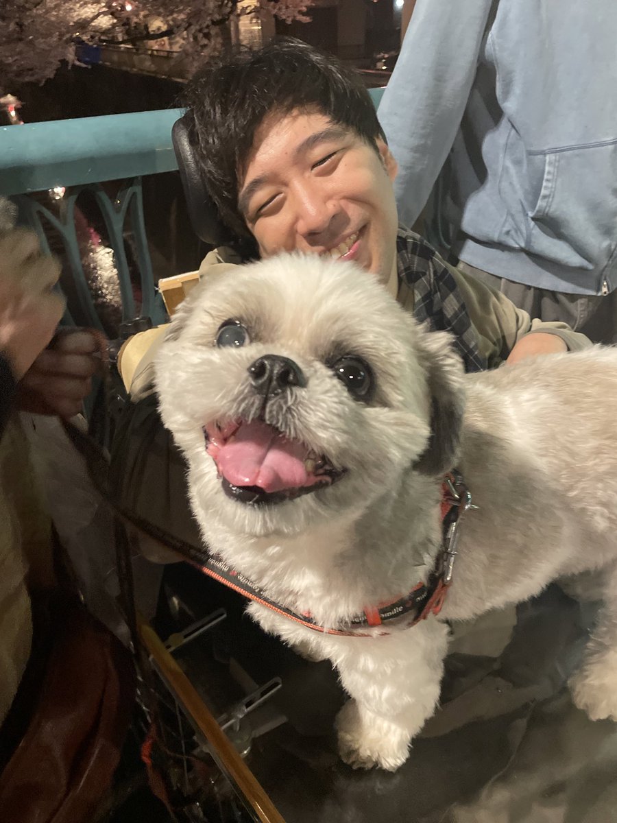 Zyan2Ooe's tweet photo. 今日は中板橋に夜桜見物に…
花曇りの暖かい夜で花見日和 https://t.co/nVF8TDcUVd