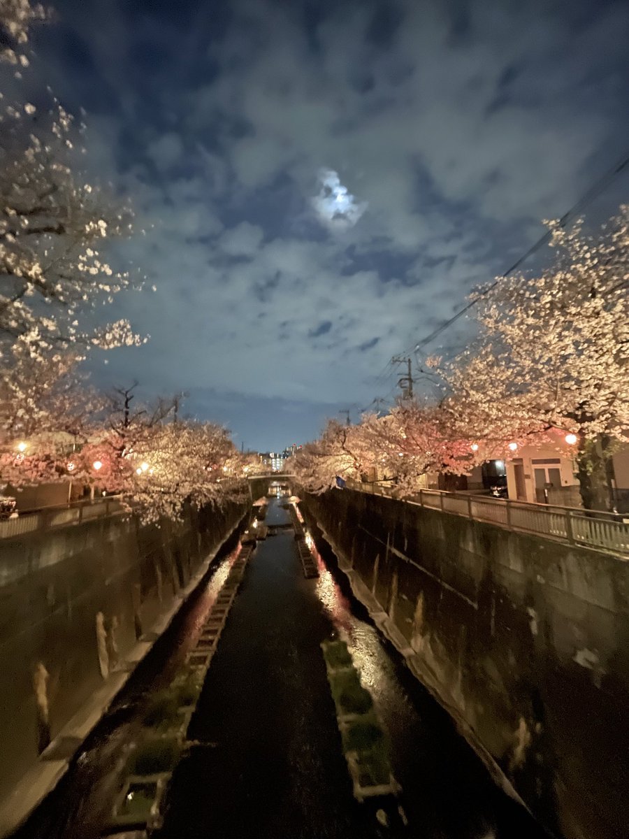 Zyan2Ooe's tweet photo. 今日は中板橋に夜桜見物に…
花曇りの暖かい夜で花見日和 https://t.co/nVF8TDcUVd